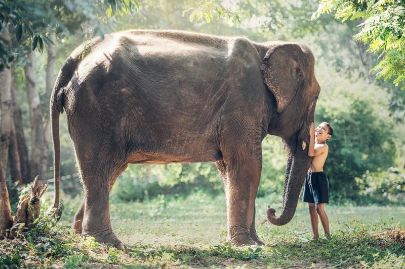 From Delhi: Taj Mahal and Elephant Care Park Day Trip - Itinerary and Experience