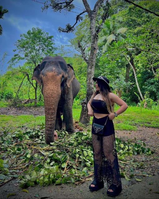 From Delhi: Taj Mahal and Elephant Care Park Day Trip - Important Information