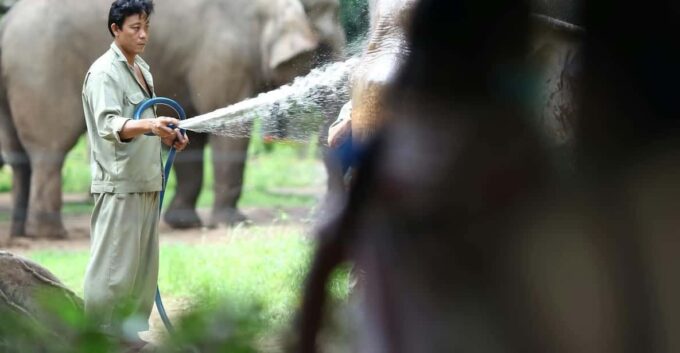 From Delhi: Taj Mahal and Elephant Care Park Day Trip - Frequently Asked Questions