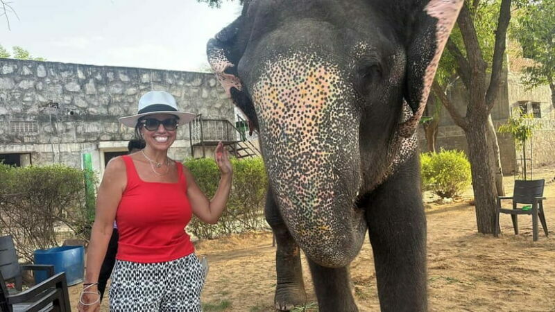From Delhi: Taj Mahal Sunrise and Elephant Conservation Tour - From Delhi: Taj Mahal Sunrise and Elephant Conservation Tour – An In-Depth Review