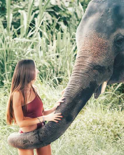 From Delhi: Taj Mahal Sunrise and Elephant Wildlife SOS Tour - Highlights and Itinerary