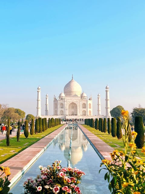 From Delhi: Taj Mahal Sunrise and Elephant Wildlife SOS Tour - Customer Reviews and Experiences