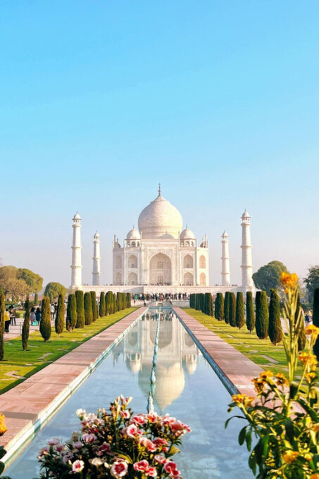 From Delhi: Taj Mahal Sunrise and Elephant Wildlife SOS Tour - Contact Information and Support