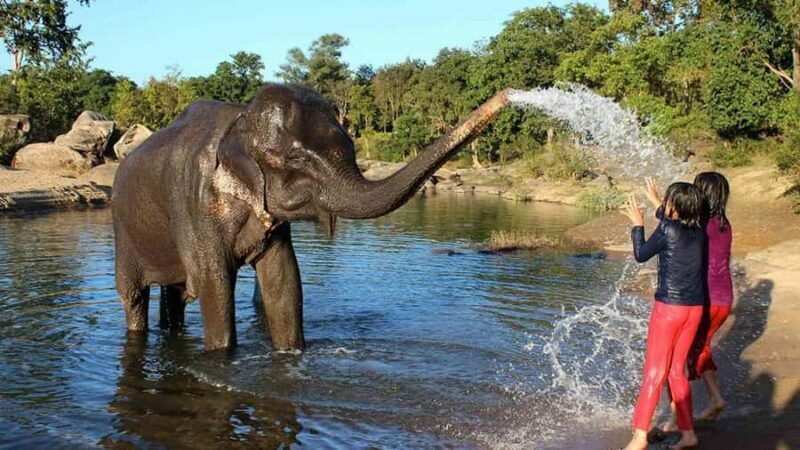 From Delhi: Taj Mahal Sunrise Tour & Elephant Conservation - Key Points