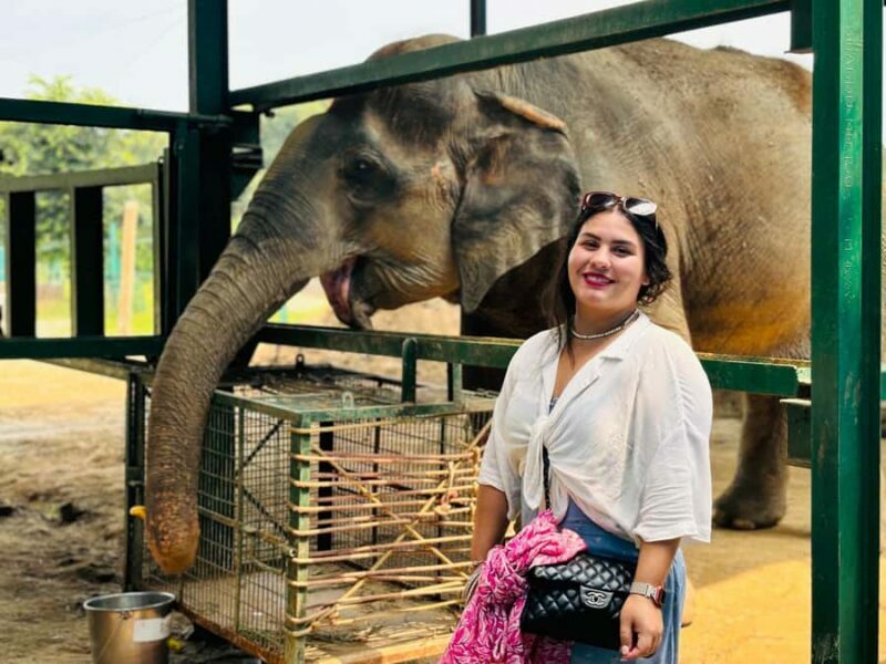 From Delhi: Taj Mahal Sunrise Tour & Elephant Conservation - Early Morning Pickup & Drive to Agra