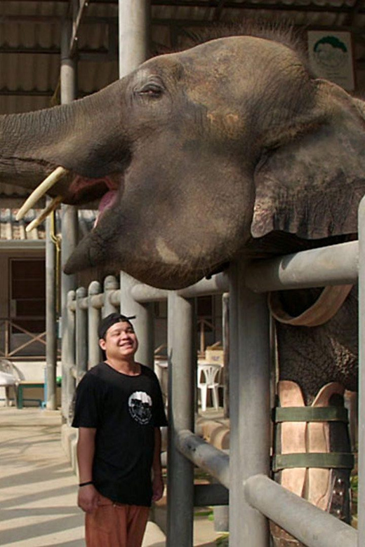 From Delhi Taj Mahal Sunrise Tour W/ Elephant Conservation - Key Points