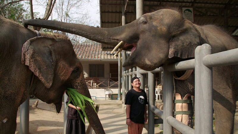 From Delhi Taj Mahal Sunrise Tour W/ Elephant Conservation - Customer Testimonials