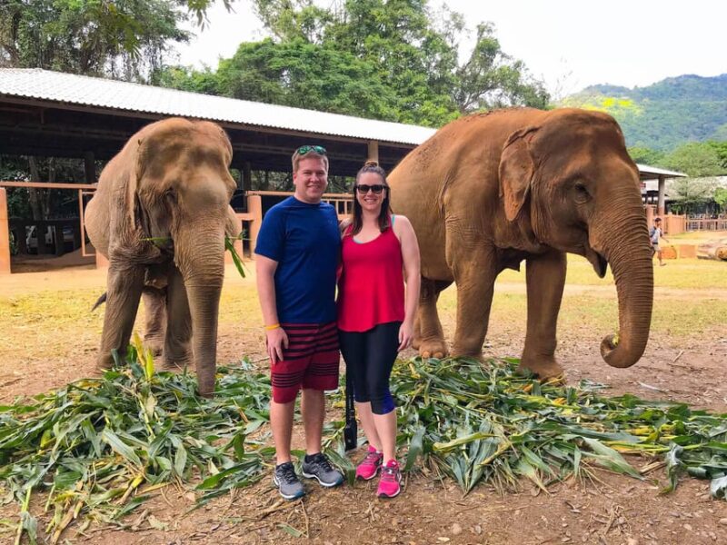 From Delhi: Taj Mahal Tour With Elephant Conservation Centre - Key Points