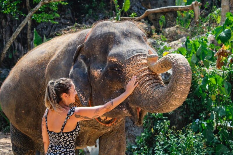 From Delhi: Taj Mahal Tour With Elephant Conservation Centre - Travel Experience