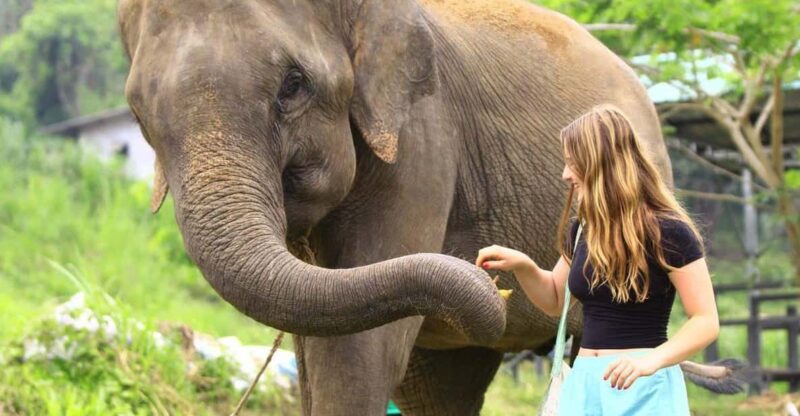 From Delhi: Taj Mahal Tour With Elephant Conservation Centre - Taj Mahal and Agra Fort