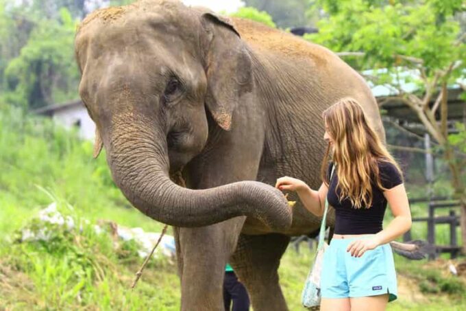 From Delhi: Taj Mahal Tour With Elephant Conservation Centre - Frequently Asked Questions
