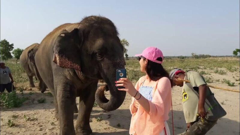 From Delhi: Taj Mahal With Elephant & Bear Conservation Tour - Itinerary and Experience