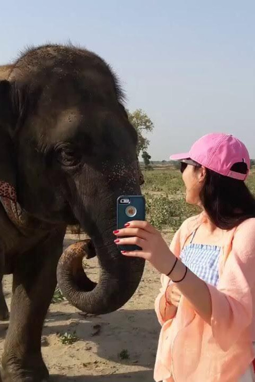From Delhi: Taj Mahal With Elephant & Bear Conservation Tour - Inclusions and Additional Information