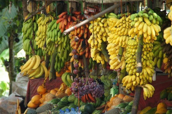 From Delhi: Tajmahal and Agra Fort With Fruit Market Agra - Duration and Free Cancellation