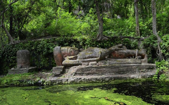 From Delhi: Tiger Safari and Golden Triangle Tour - Booking and Cancellation