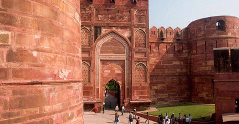 From Delhi: Trip to Taj Mahal, Wildlife SOS and Agra Fort - Itinerary and Highlights