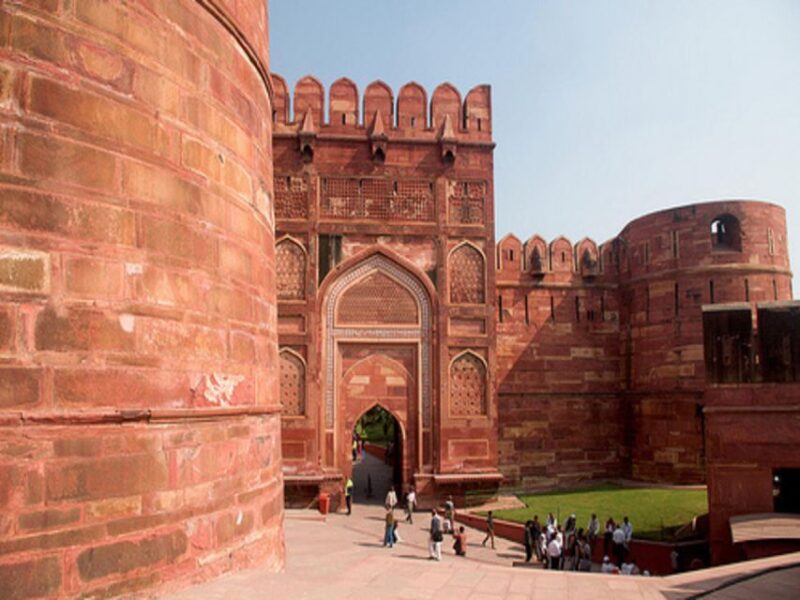 From Delhi: Trip to Taj Mahal, Wildlife SOS and Agra Fort - Guided Experience