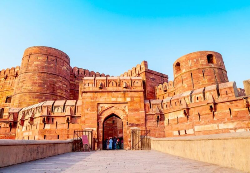 From Delhi:Sunrise Taj Mahal Tour With Elephant Conservation - Itinerary Highlights