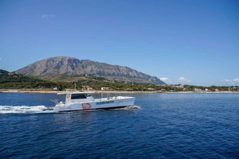 From Denia: Boat Trip to Tallada Cave With Optional Swim - Important Information