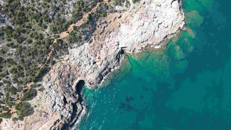 From Denia: Boat Trip to Tallada Cave With Optional Swim - Customer Ratings