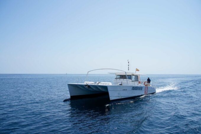 From Denia: Boat Trip to Tallada Cave With Optional Swim - Transportation and Accessibility