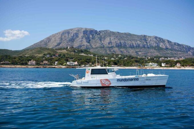 From Denia: Boat Trip to Tallada Cave With Optional Swim - Frequently Asked Questions