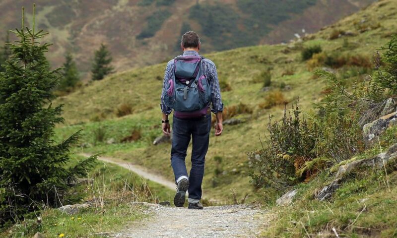 From Denver: Hike the Rockies Tour - Experience Highlights
