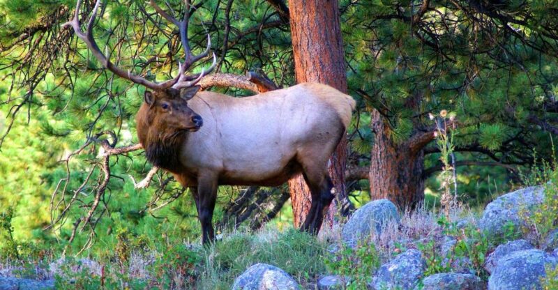 From Denver: Hike the Rockies Tour - Meeting Point & What to Bring