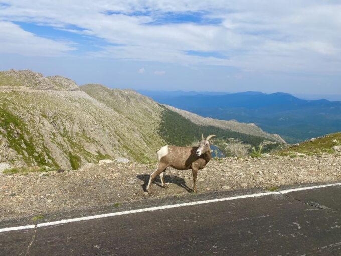 From Denver: Pikes Peak and Garden of the Gods Guided Tour - Customer Reviews