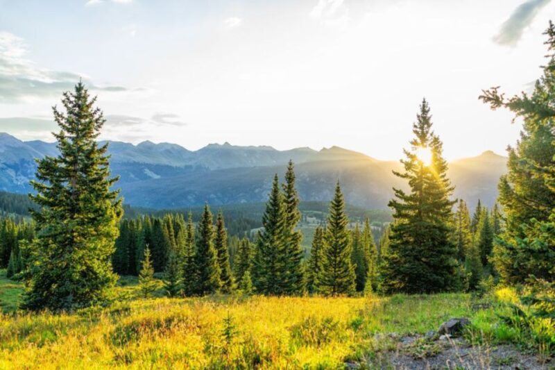 From Denver: Red Rocks and Foothills Half-Day Guided Tour - Key Points