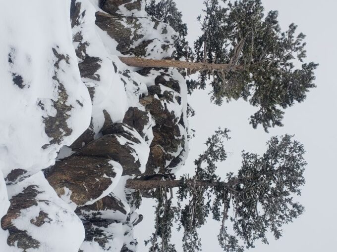 From Denver: Rocky Mountain National Park Fall/Winter Tour - Frequently Asked Questions