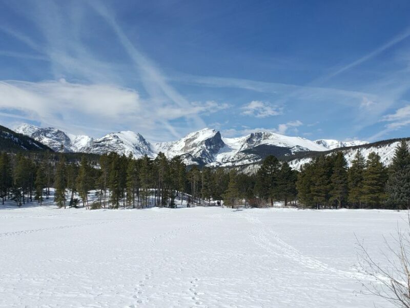 From Denver: Rocky Mountain National Park Winter/Spring Tour - What Makes This Tour Stand Out?