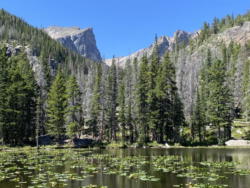 From Denver: Rocky Mountains Jeep Tour With Picnic Lunch - Whats Included in the Tour