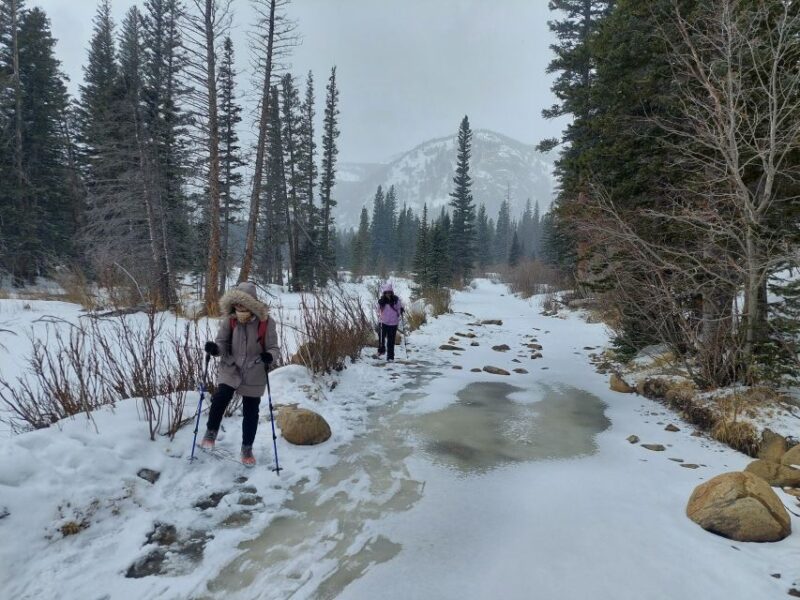 From Denver: Snowshoeing in Rocky Mountains - Customer Reviews and Feedback