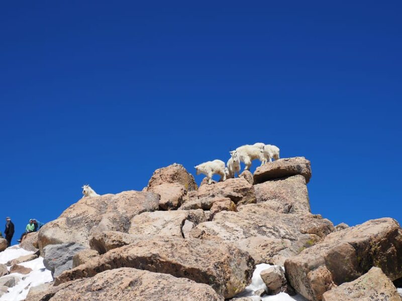 From Denver: Trip to Mount Blue Sky Summit and Glacial Lake - Ascending Mount Blue Sky