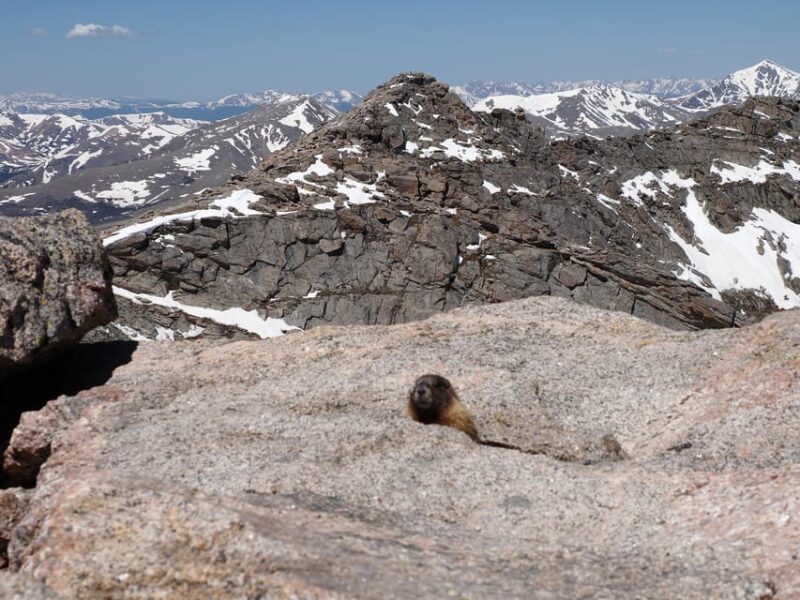 From Denver: Trip to Mount Blue Sky Summit and Glacial Lake - Wildlife Viewing Opportunities