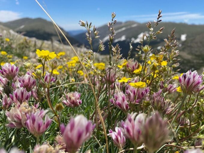 From Denver: Trip to Mount Blue Sky Summit and Glacial Lake - Customer Reviews and Ratings