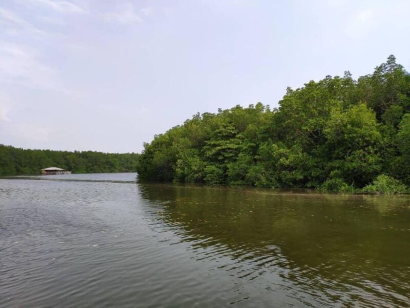 From Desaru Coast: Sungai Lebam River Cruise With Pickup - Experience Highlights
