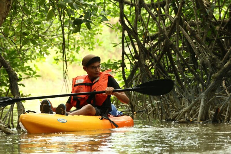 From Desaru: Lebam River Kayak Trip - Pickup and Transportation Details