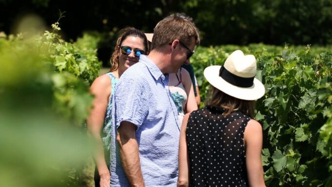 From: Dijon/Beaune: Burgundy Region Winery Tour With Lunch - Family-Run Winery Visit and Tasting