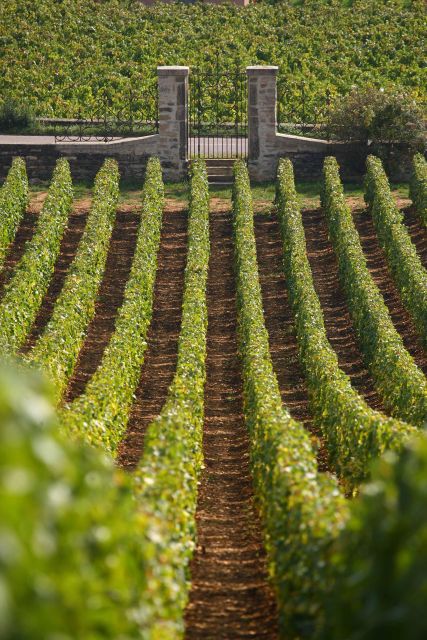 From: Dijon/Beaune: Burgundy Region Winery Tour With Lunch - Inclusions and Exclusions