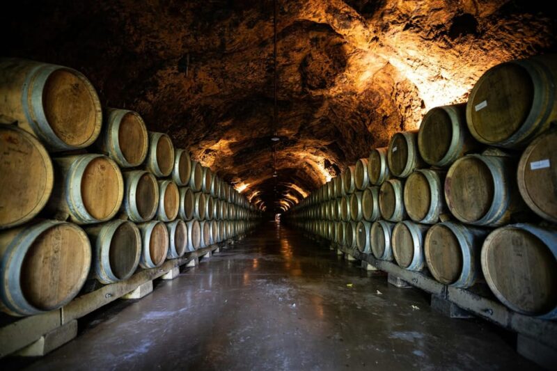 From Dijon: Burgundy Villages and Wine Tasting Tour - Itinerary Highlights