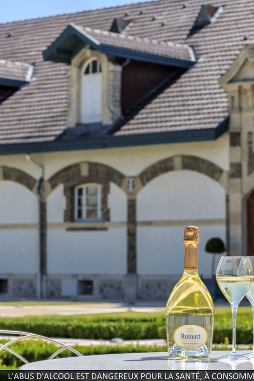 From Disney Trip to CHAMPAGNE CELLAR (Maison Pannier) - Key Points
