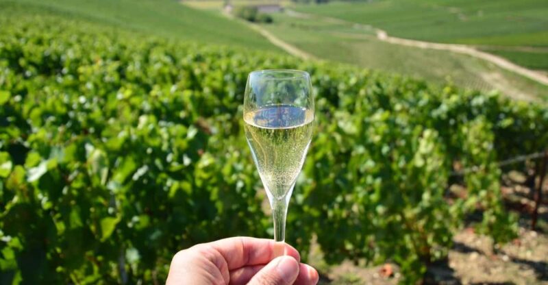 From Disney Trip to CHAMPAGNE CELLAR (Maison Pannier) - Itinerary and Experience