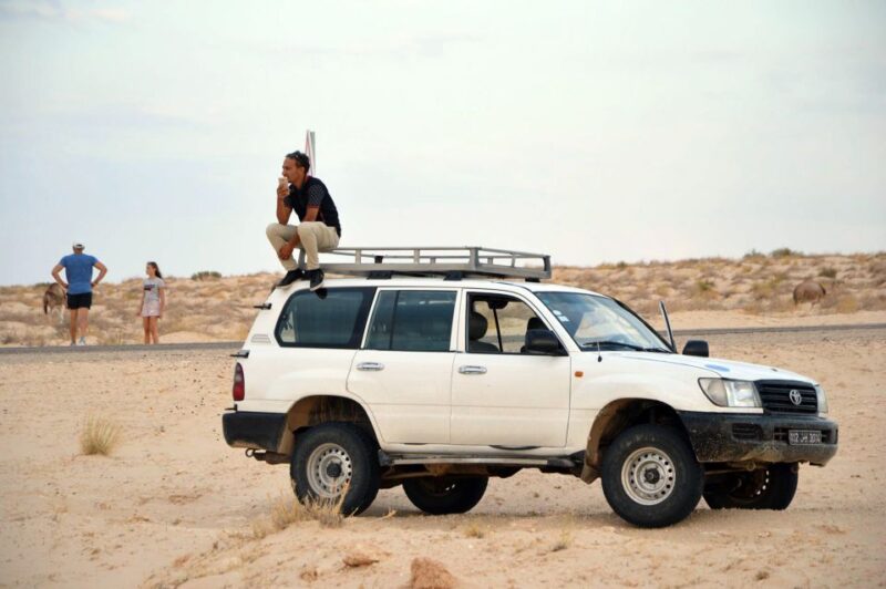From Djerba: 2-Day Tour of Tozeur and Mountain Oasis - Inclusions and Exclusions