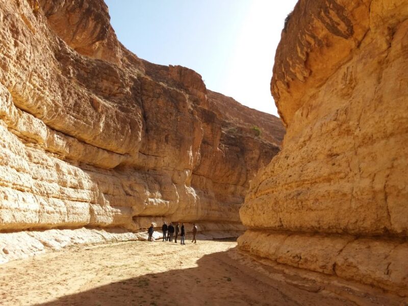 From Djerba: 2-Day Tour of Tozeur and Mountain Oasis - Tips for Travelers