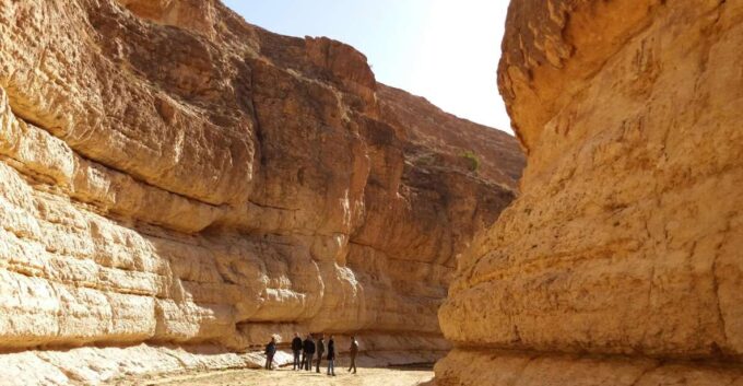 From Djerba: 2-Day Tour of Tozeur and Mountain Oasis - Frequently Asked Questions