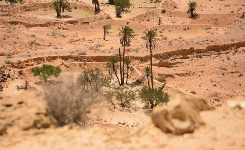 From Djerba and Zarzis : An Epic 3 Days Desert Adventure - Day 1 Itinerary