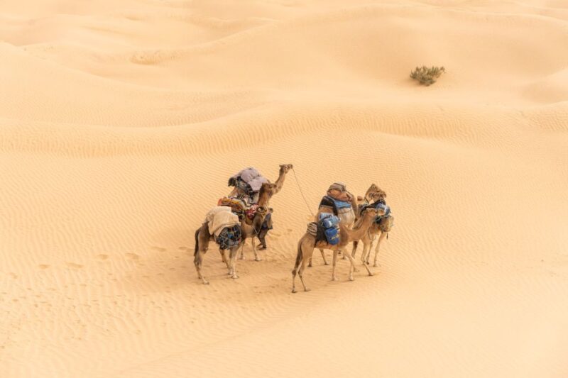 From Djerba and Zarzis : An Epic 3 Days Desert Adventure - Day 1 Highlights