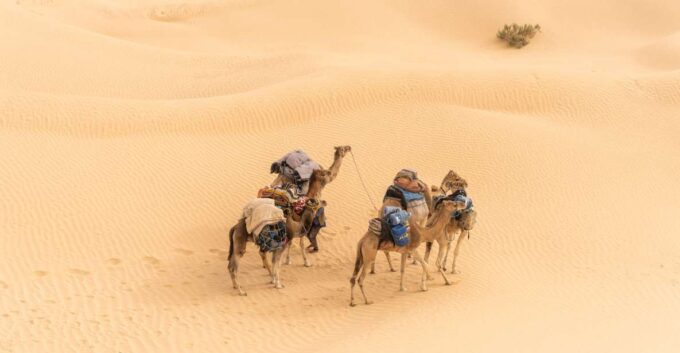 From Djerba and Zarzis : An Epic 3 Days Desert Adventure - Day 3 Itinerary